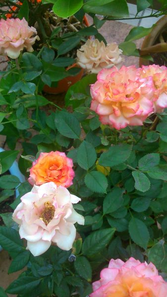 test2