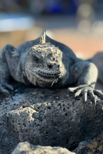 Törnbericht Vorschaubild